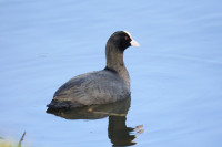 Dolina Kosowki Protected Landscape Area