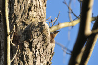 Forst Botanical Garden