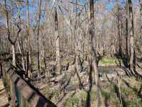 Northlake Nature Center