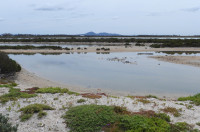 Avalon Beach