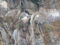 Antisana National Park
