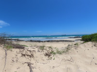 Camino de las Tortugas