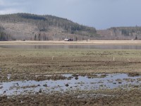 Lake Brånsjön