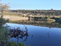 Għadira Nature Reserve