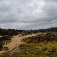 Amsterdamse Waterleiding duinen