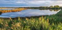 Petite Camargue Alsacienne