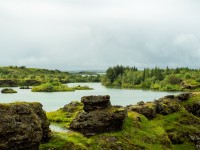 Höfði Woodland Park